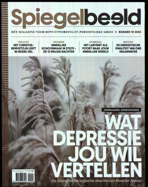 SPIEGELBEELD 2510