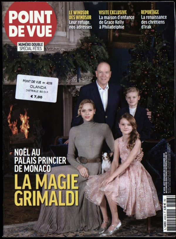 POINT DE VUE 4036