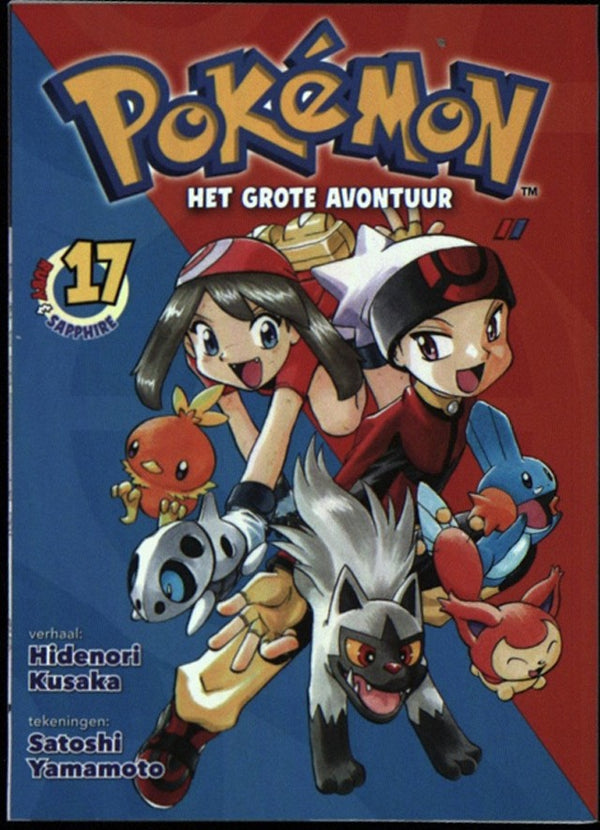 POKEMON MANGA   17