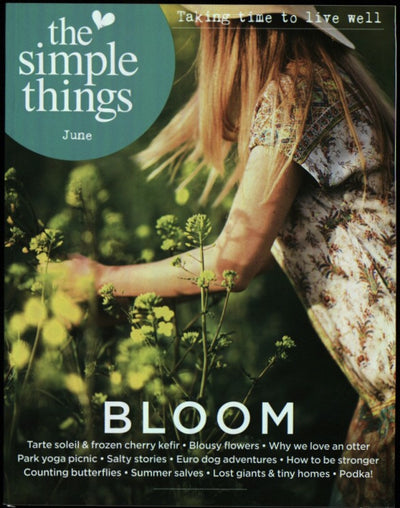 THE SIMPLE THINGS   06